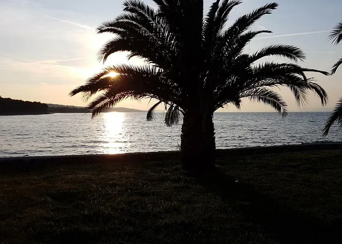 Ocean's Serenity *